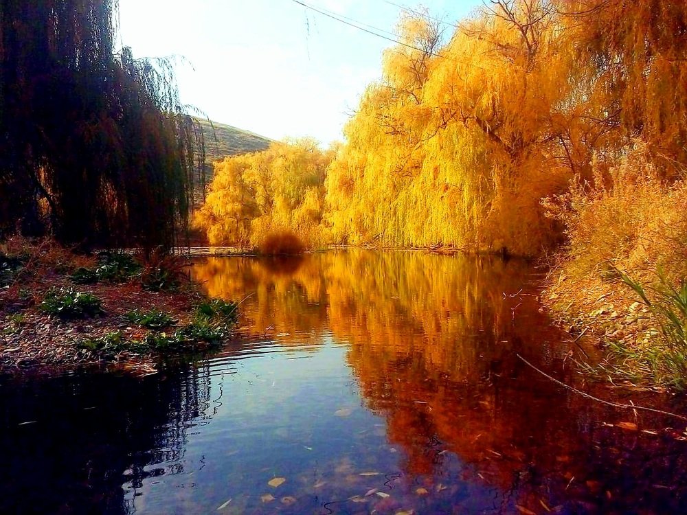 Photograph by Григорий