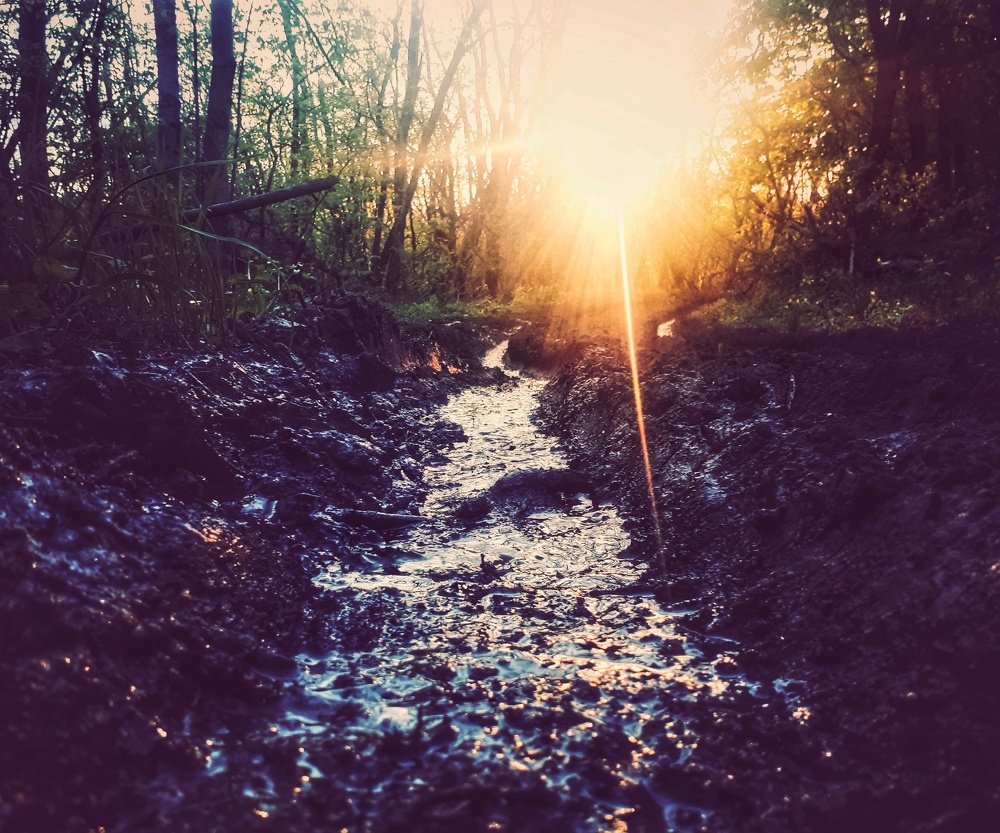 Photograph by Константин Елистратов