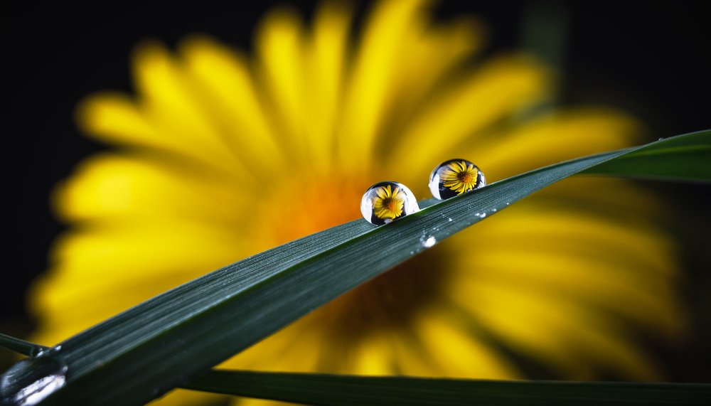 Photograph by Oleksandr Sanin