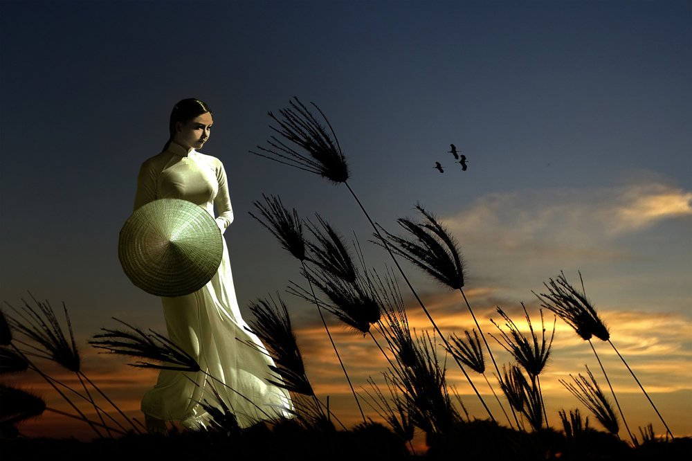 Em đi dưới nắng ban mai