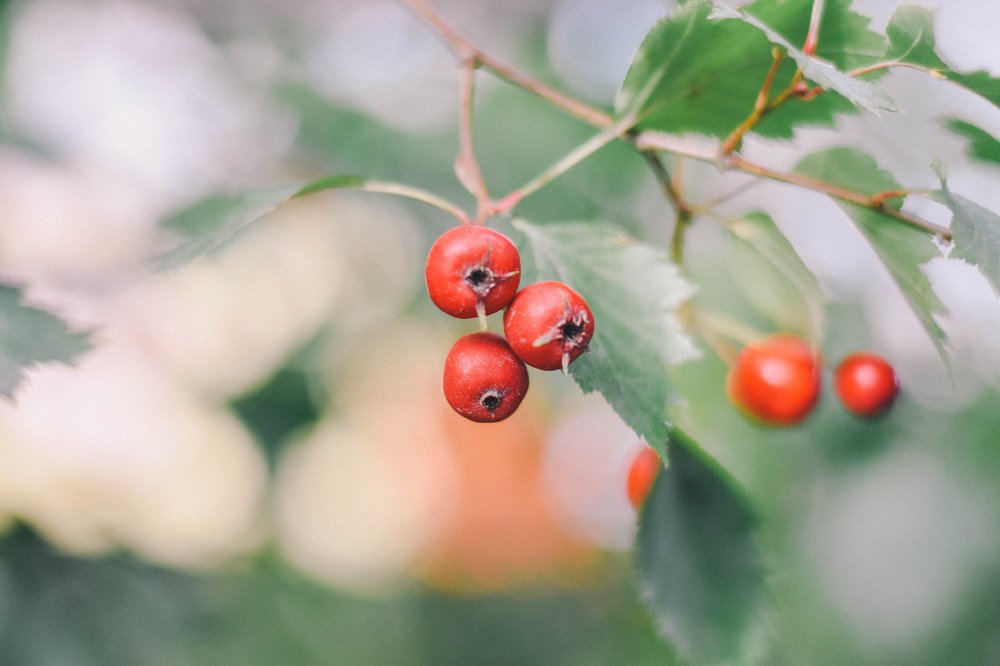 Photograph by Юлия