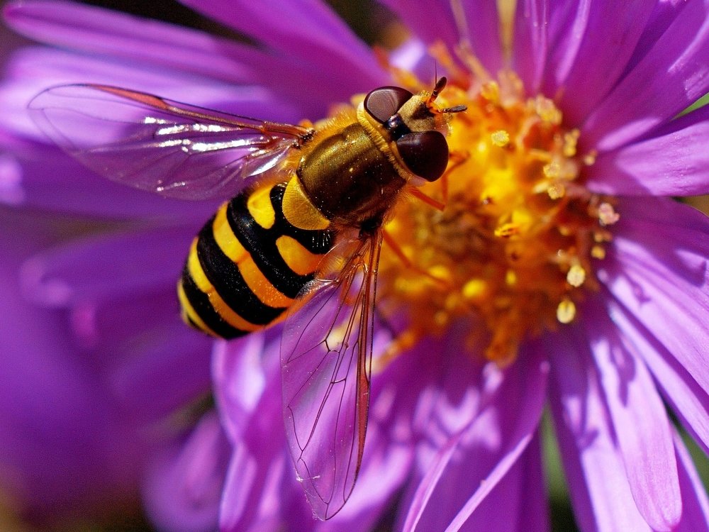 Photograph by Алексей