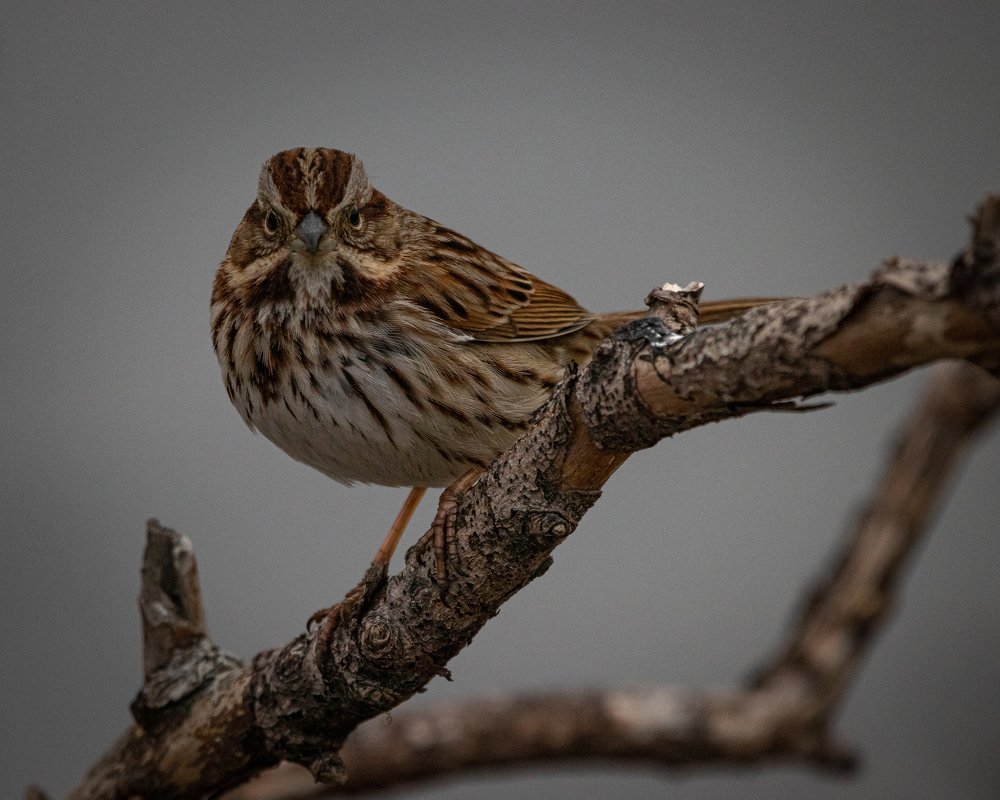 Photograph by JAMES BAILEY