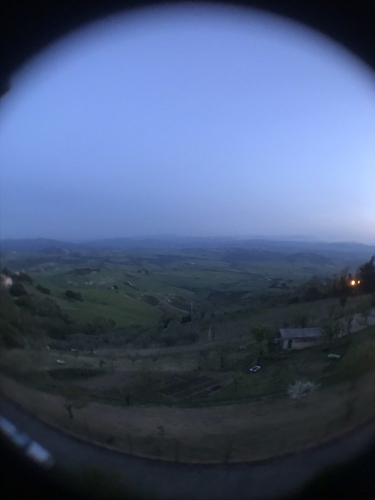 Photograph by Francesca Trafeli