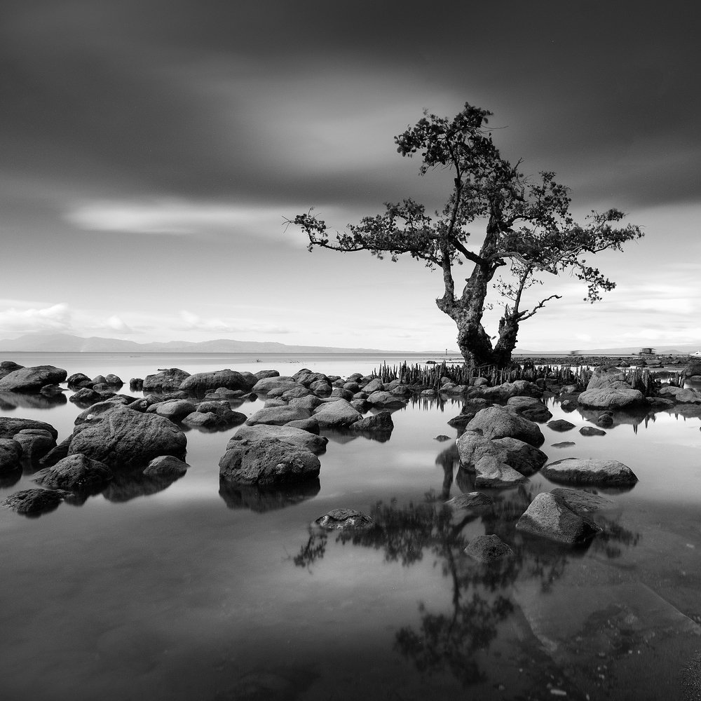 Фотография автора soo mui loh