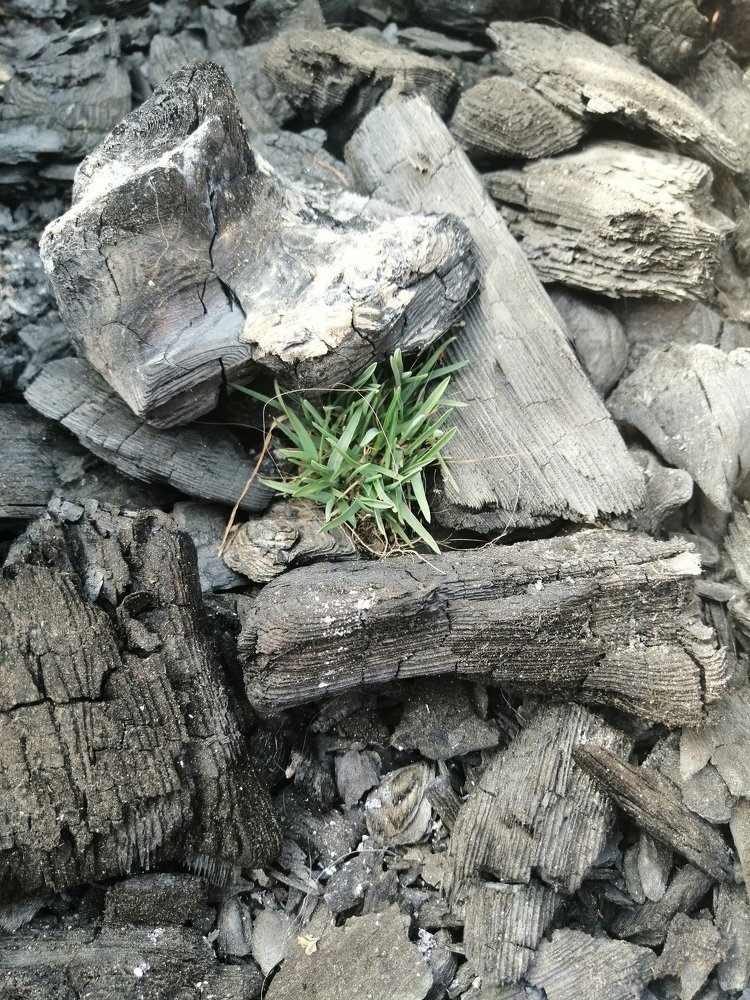 Photograph by Юлия Чувичилова