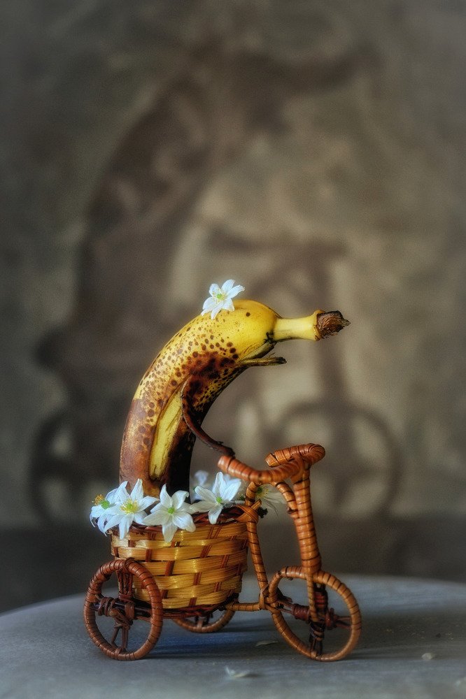 бананавый дельфин на велосипеде