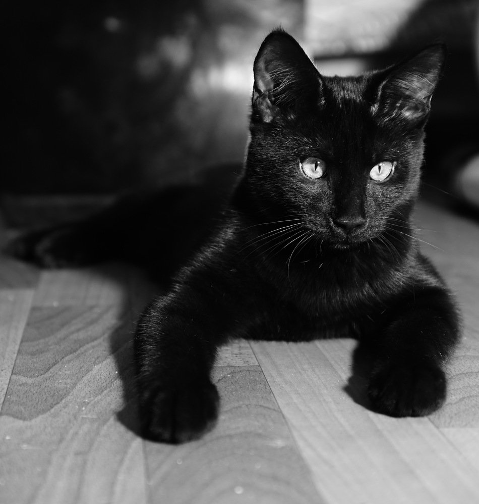 Устал я с людьми играть