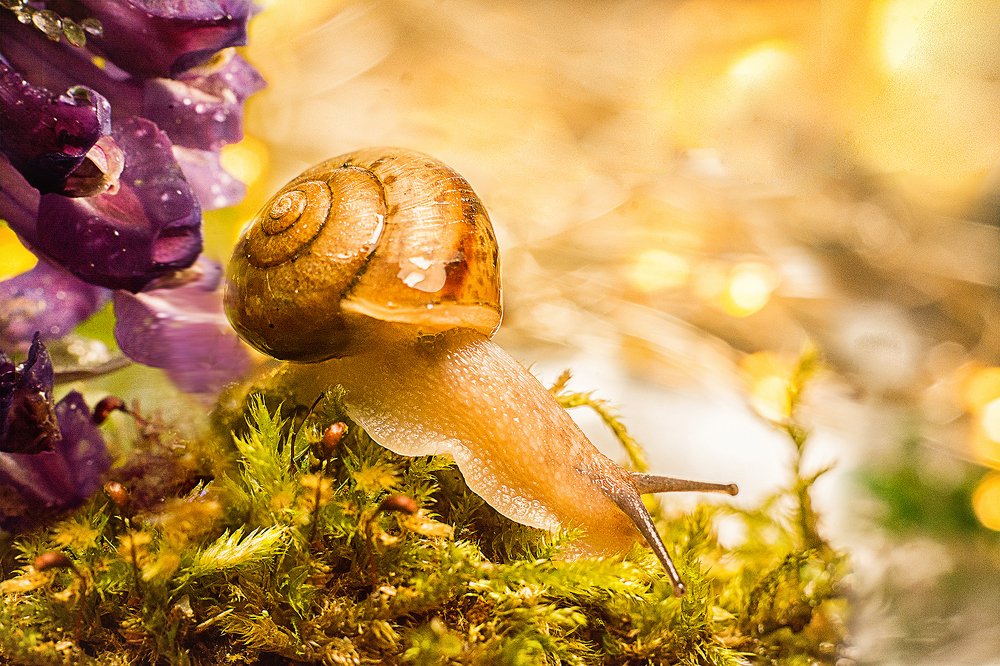 Photograph by Сокуренко Наталья