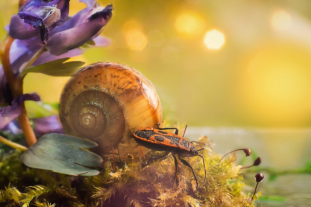 Photograph by Сокуренко Наталья