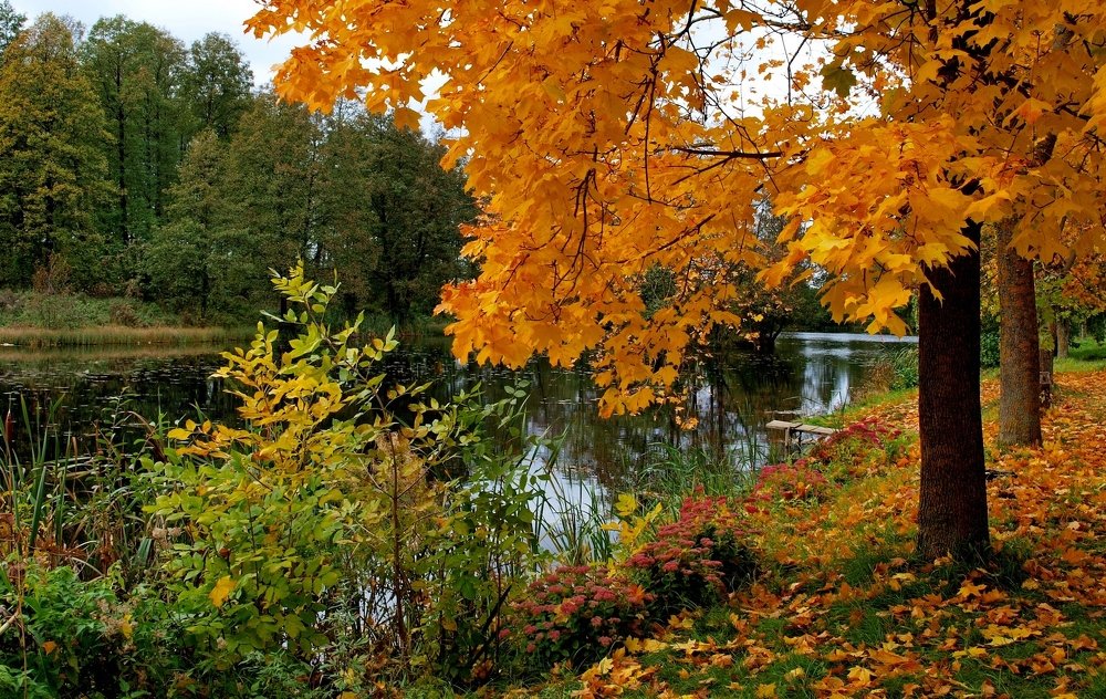 Осенний пейзаж.