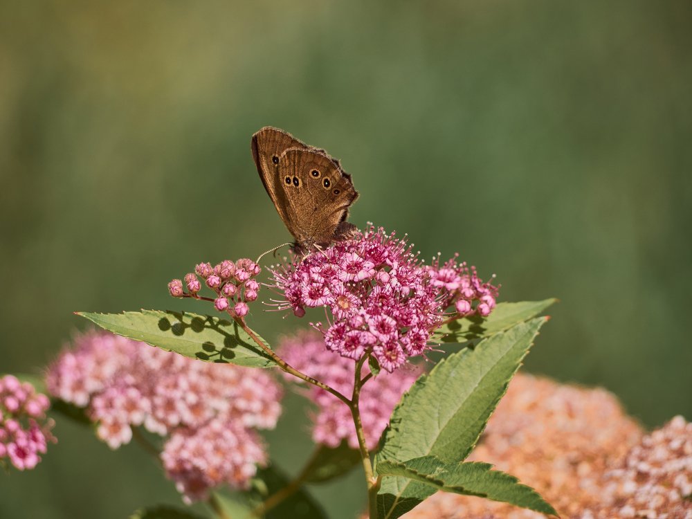 Фотография автора Игорь Игоревич