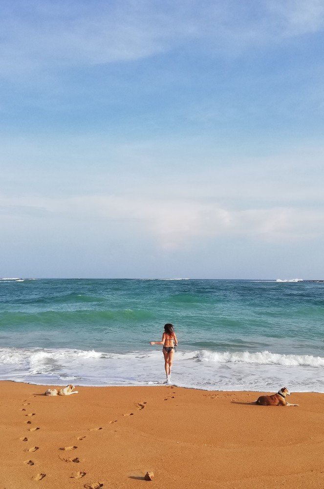 Photograph by Дмитрий Пелин