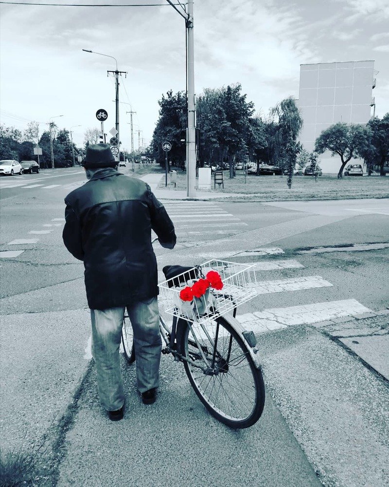 Фотография автора Ficsór Károly