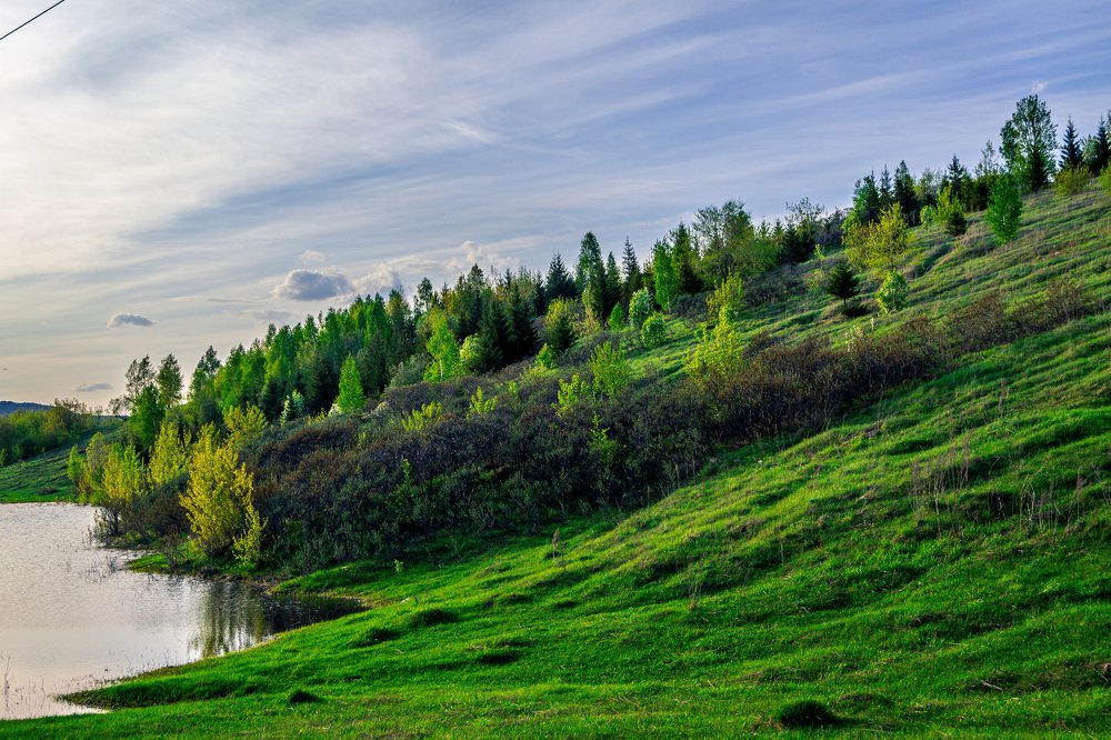 Photograph by Максим Евсин