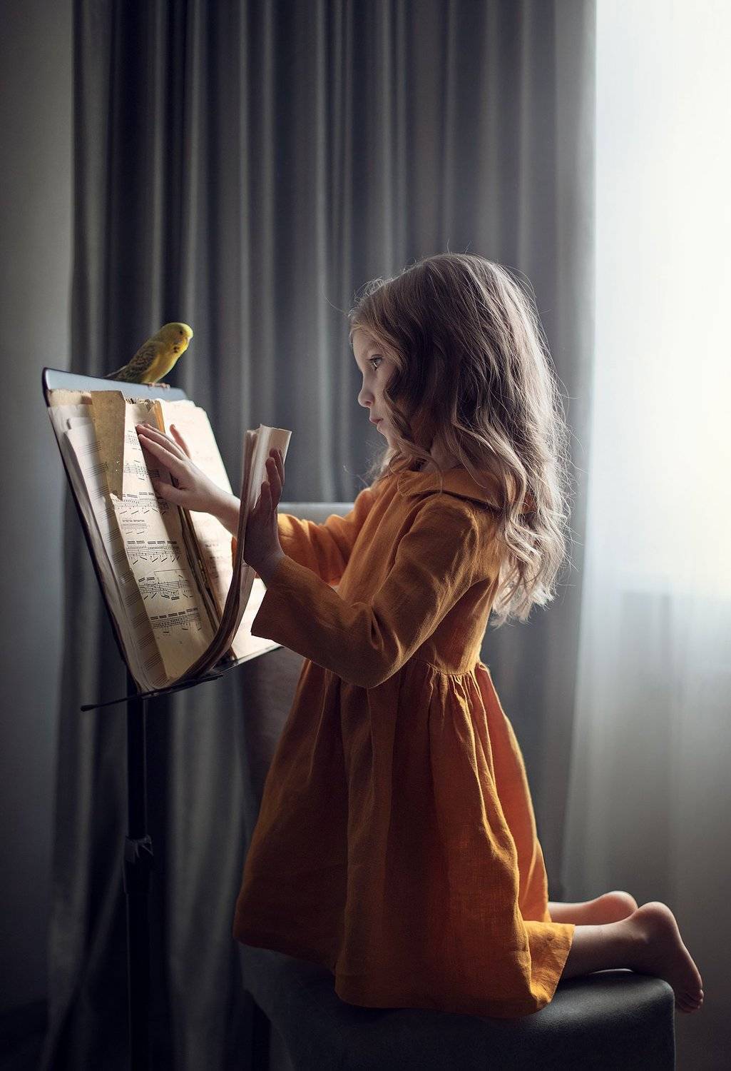 Фотография #4576083