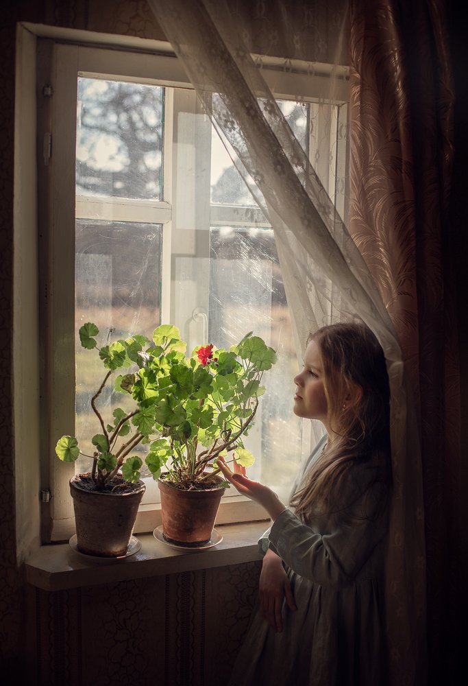 Фотография автора Дарья Степанова