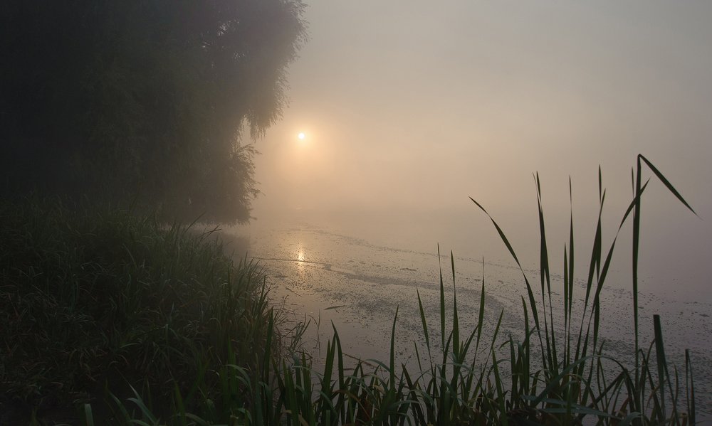 Туманный рассвет.