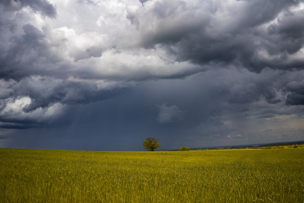 Photograph by Ксения Часова