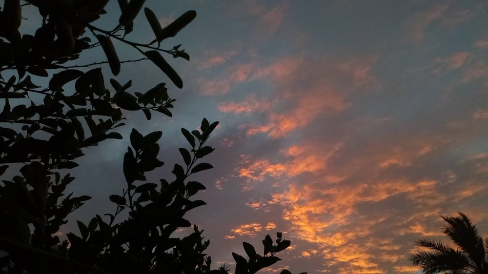 Photograph by Shazeen