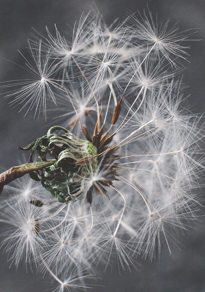 Photograph by Наталия Табоякова