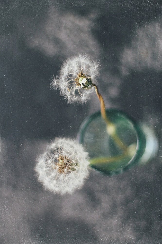 Photograph by Наталия Табоякова