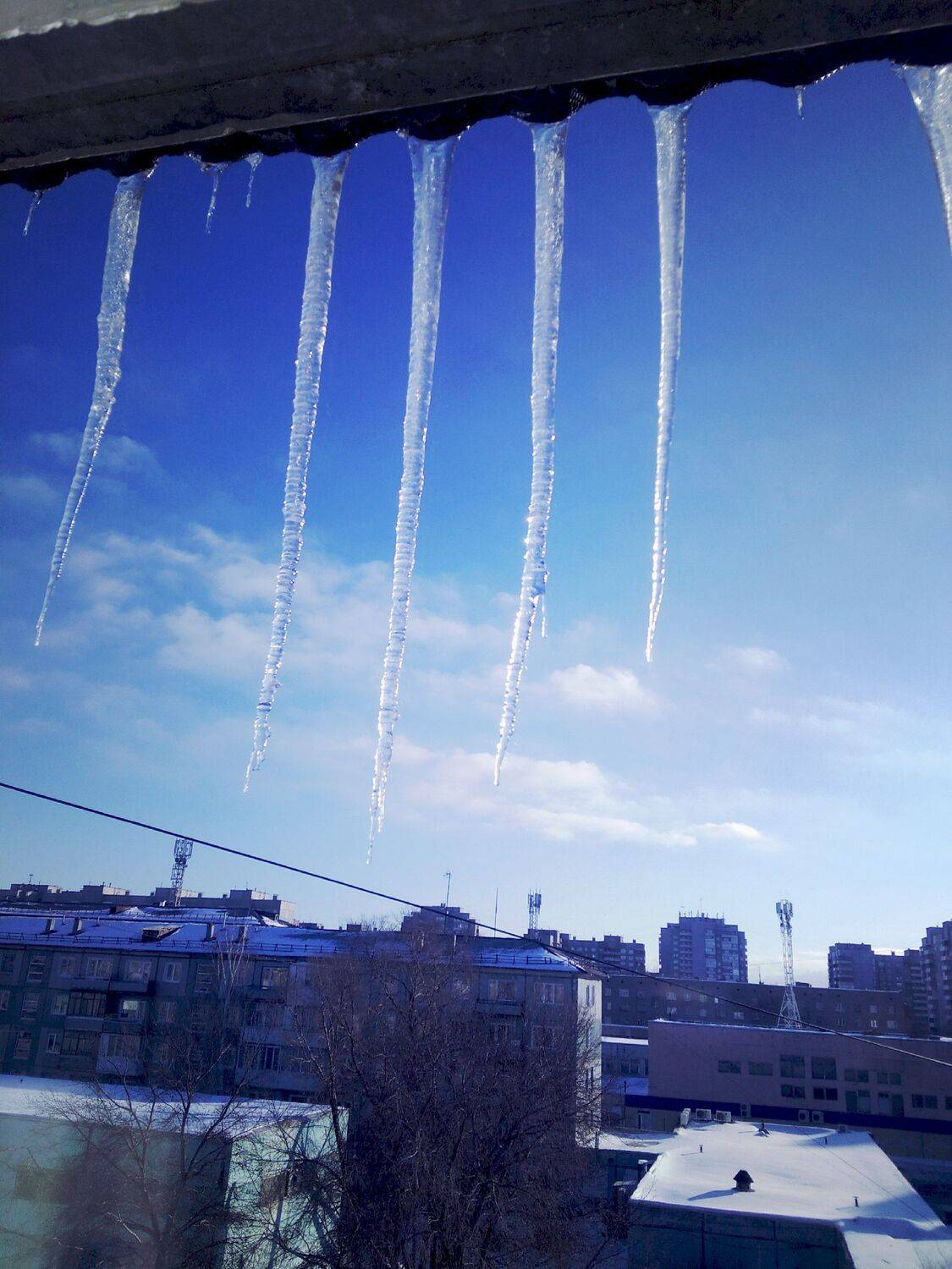 Photo #4576302