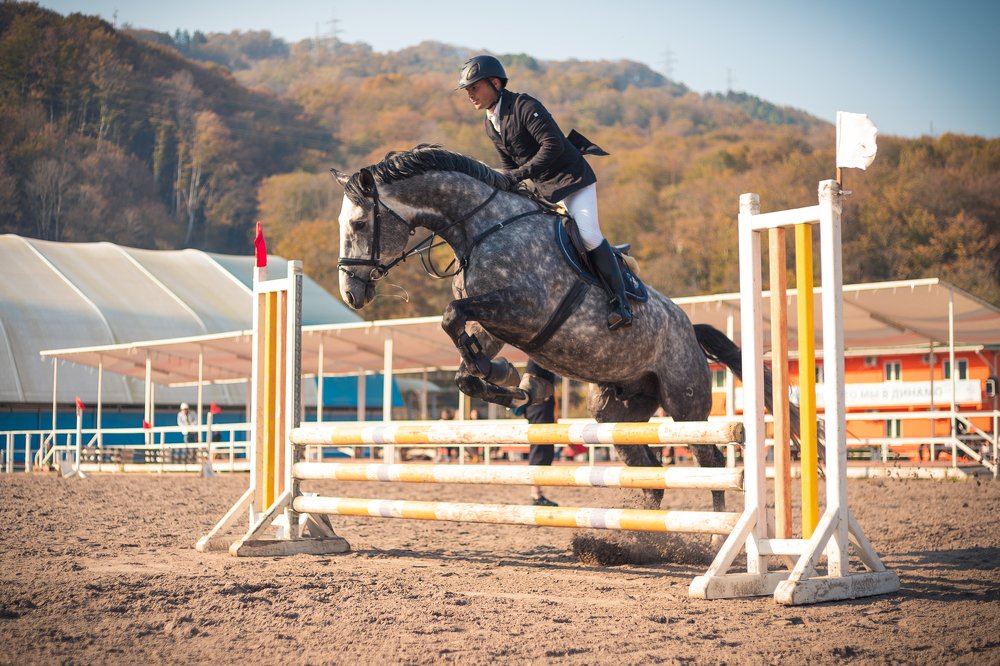 Photograph by Александр Желтухин