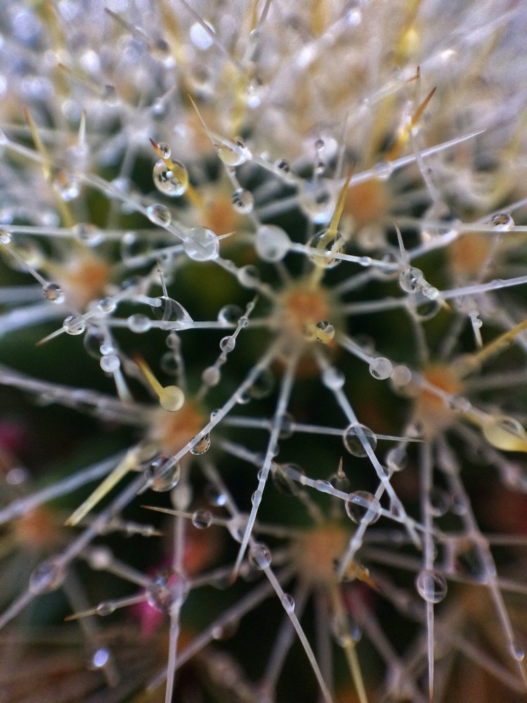 Фотография автора Анна Котлова