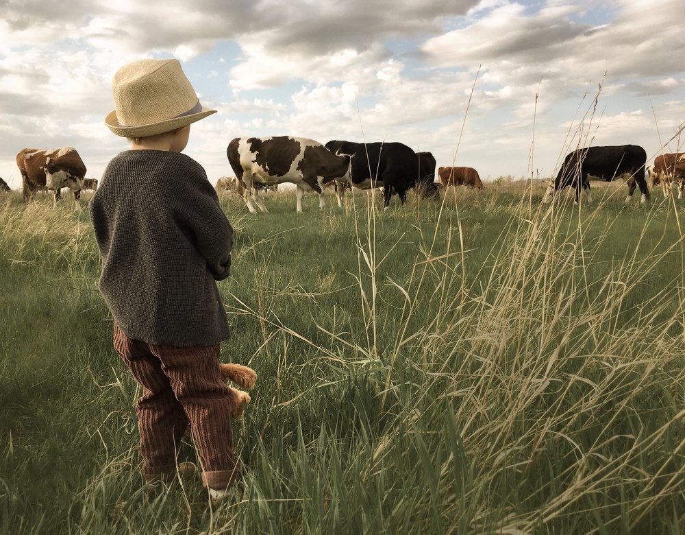 Photograph by Анна Неганова