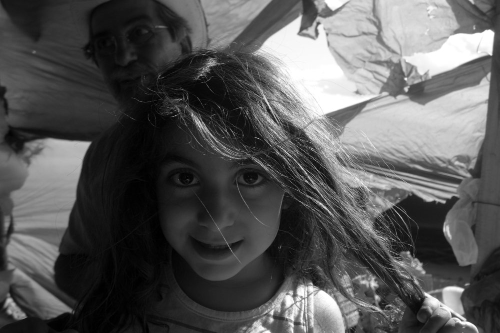 Photo #4576557