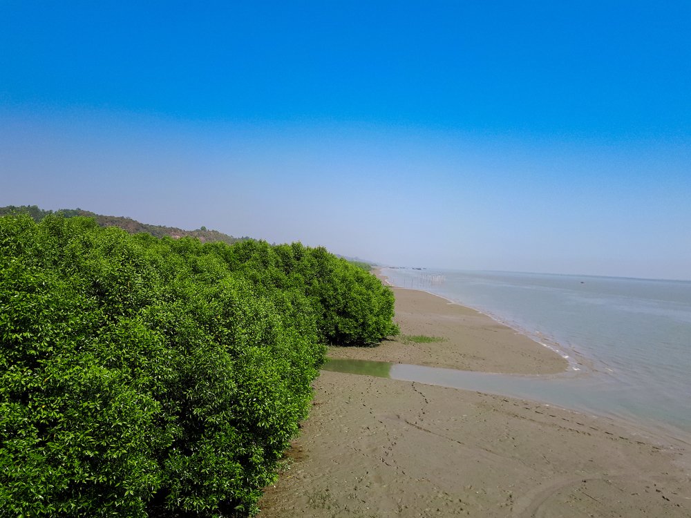 Photograph by Rocky Mojumder