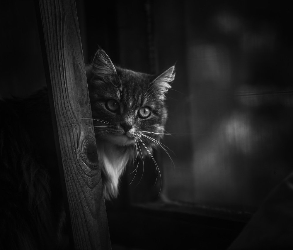 Photograph by  Михаил