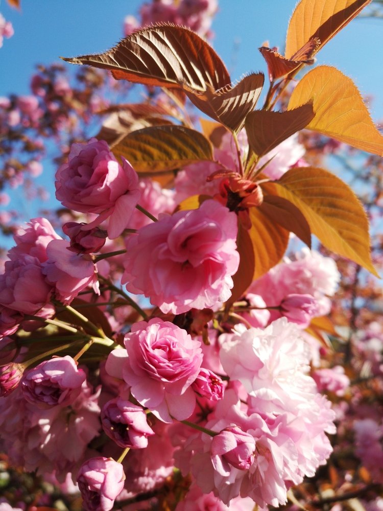 Photograph by Ирина Алексеевская