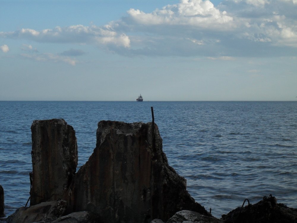 Photo #4576761