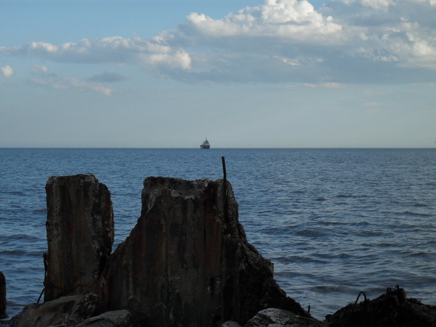 Photo #4576761
