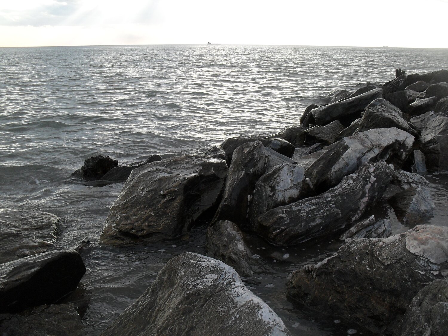 Photo #4576762