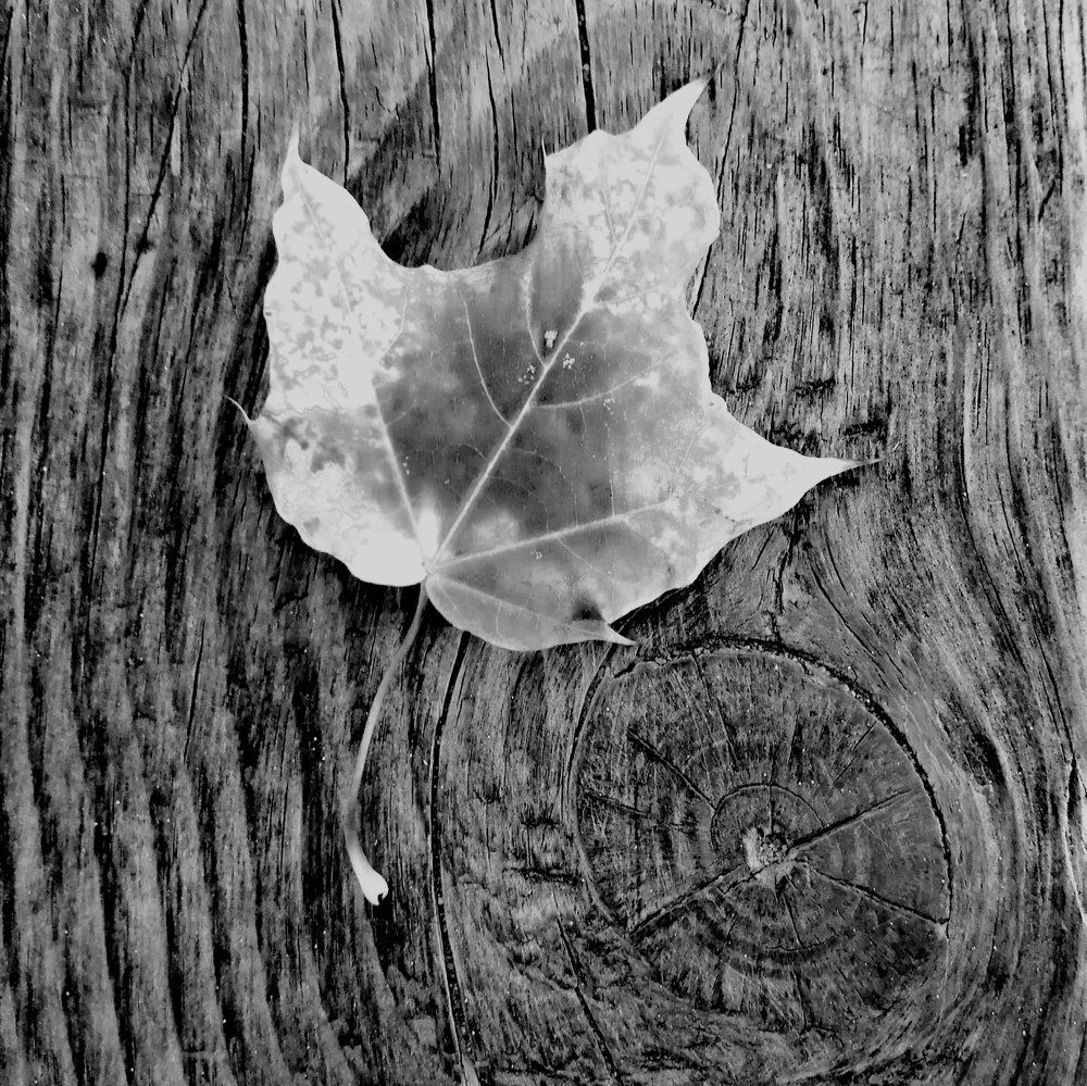 Photograph by Александр Волошин