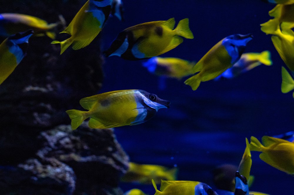 Photograph by Александр Арефьев