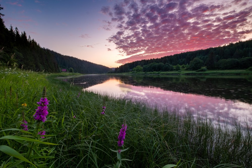 Photograph by Савицкий Ян