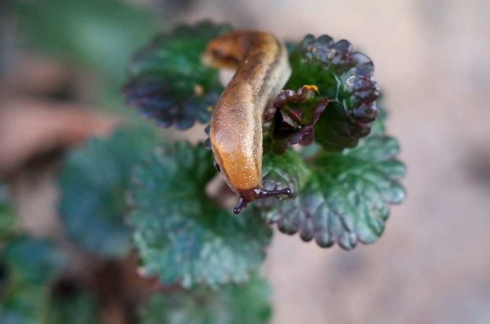 Photograph by алексей пережогин