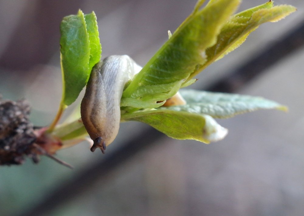 Photograph by алексей пережогин