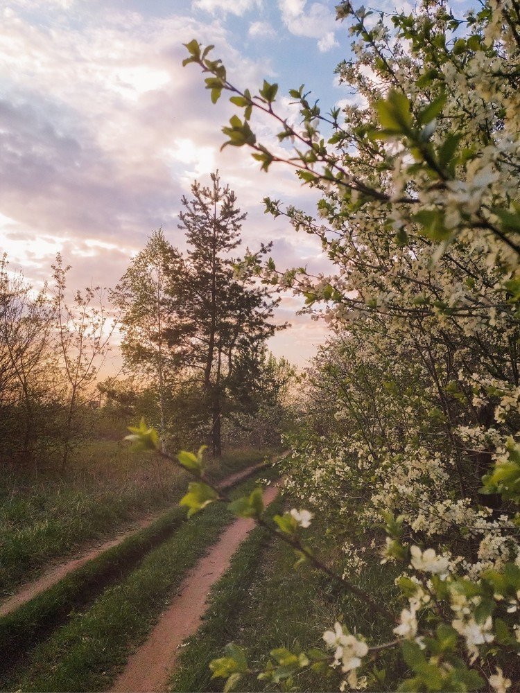 Photograph by Юлия Плаксина
