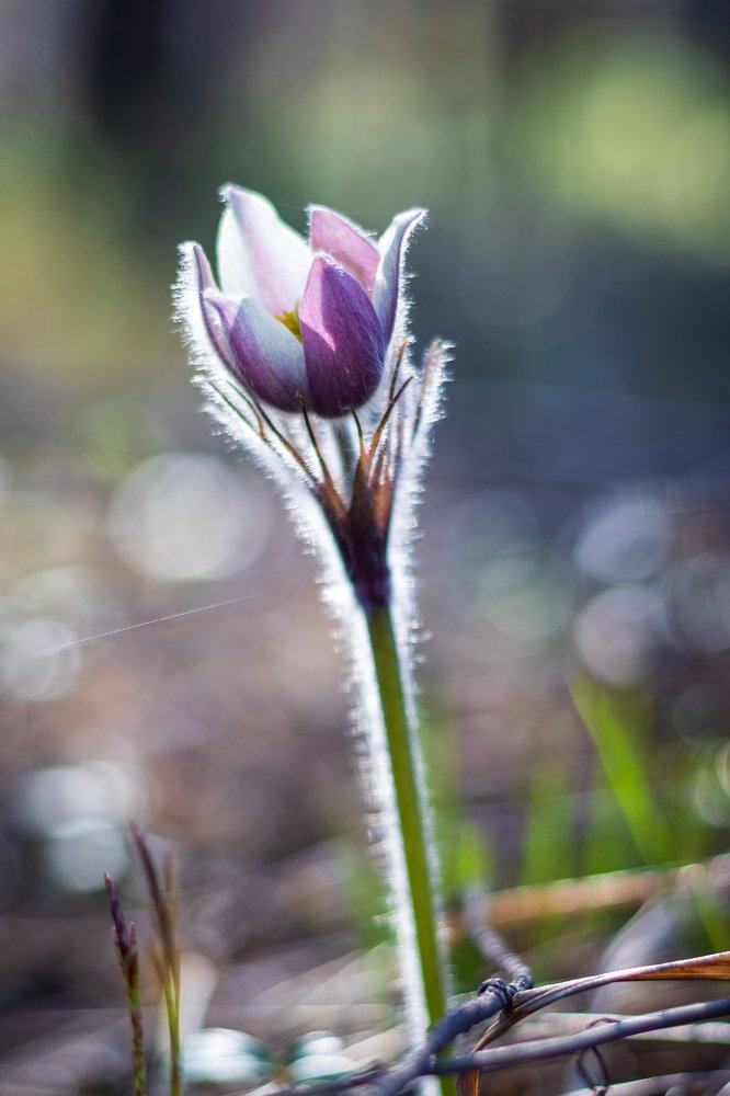 Photograph by Юрий