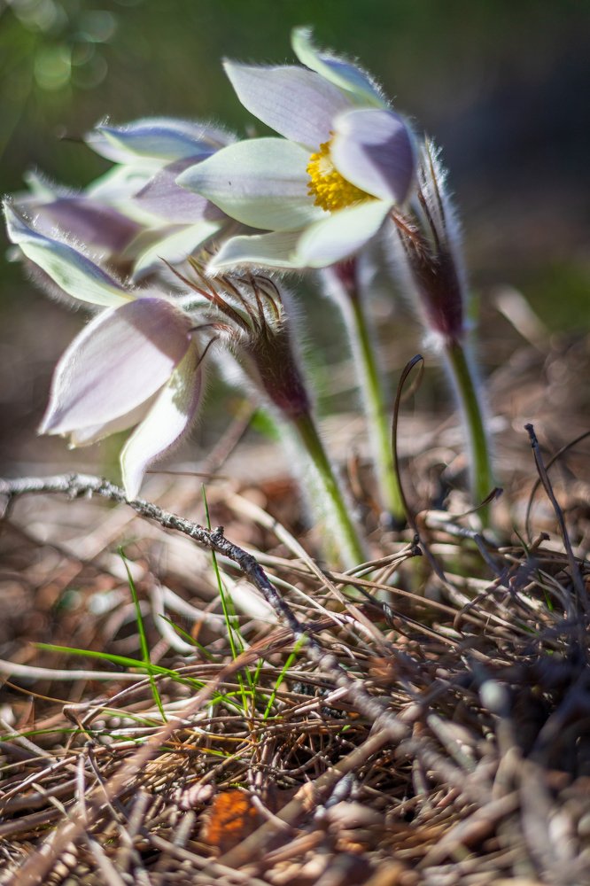 Photograph by Юрий