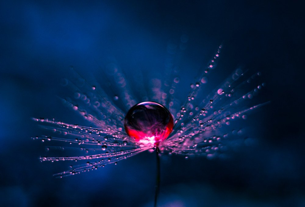 Photograph by Ирина Никульча