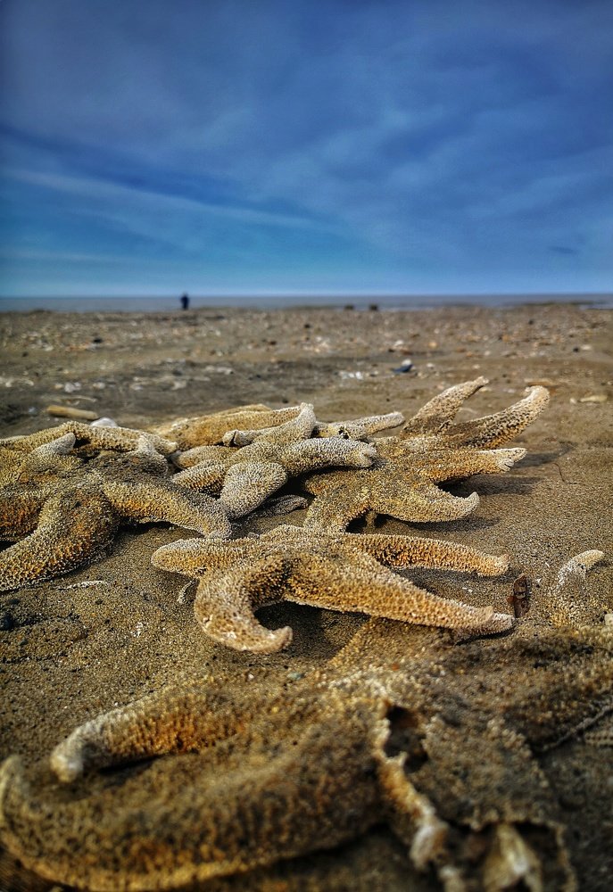 Photograph by Виолетта Беккер