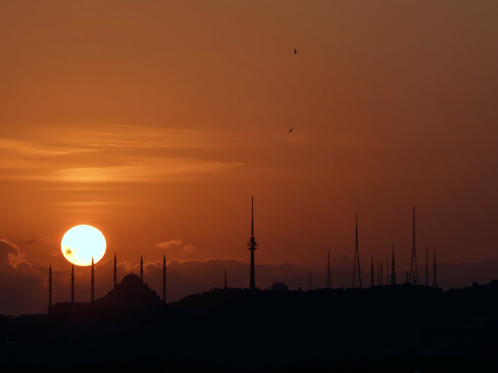 Photograph by Дмитрий Тур