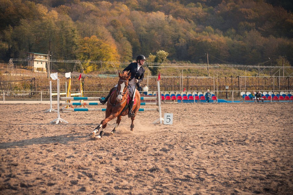 Photograph by Александр Желтухин