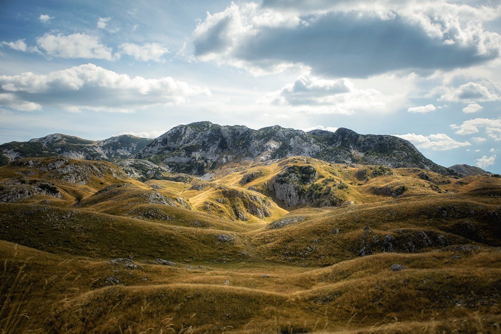 Photograph by Ирина Малина